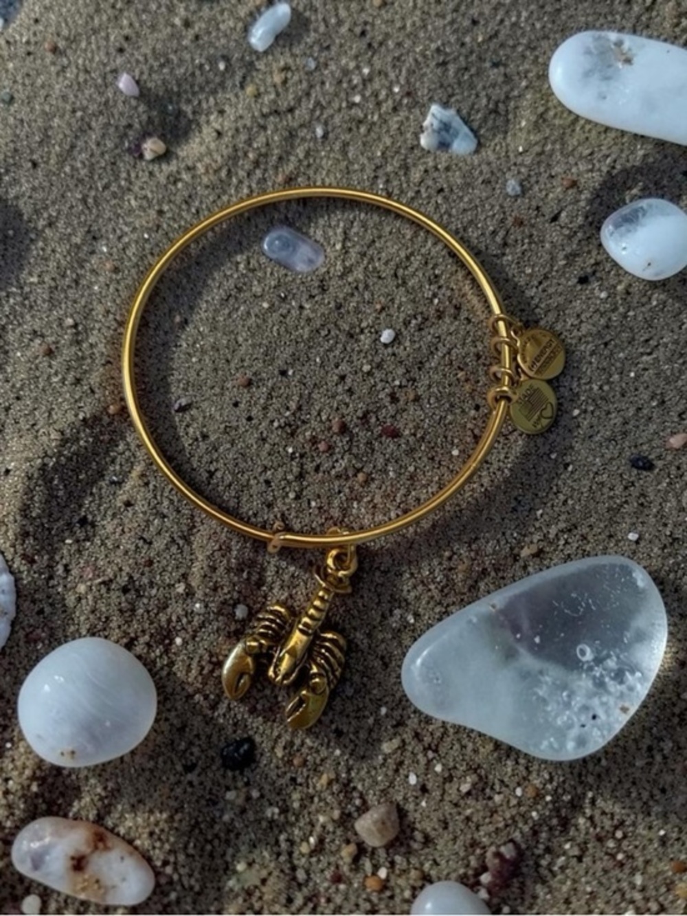 🫶🏻 Alex and Ani Gold Lobster Charm Bangle Bracelet